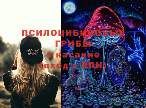 метадон Белокуриха