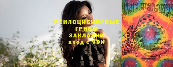 метадон Белокуриха