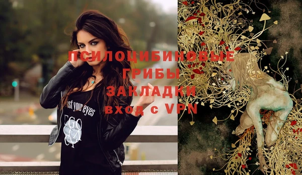 метадон Белокуриха