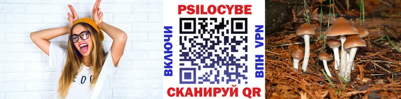 Галлюциногенные грибы прущие грибы  Вуктыл 